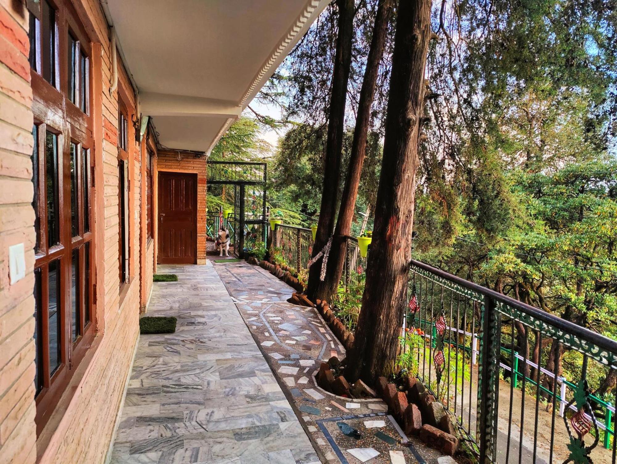 Jakhu Vibes Shimla Exterior foto